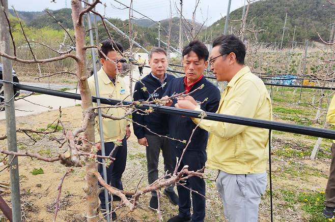 [청송군 제공]