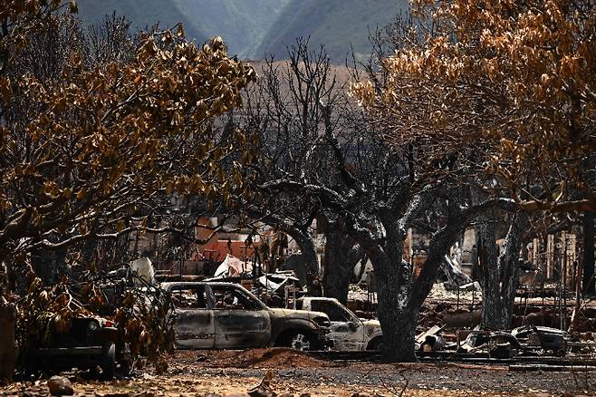 황폐해진 하와이. 연합뉴스