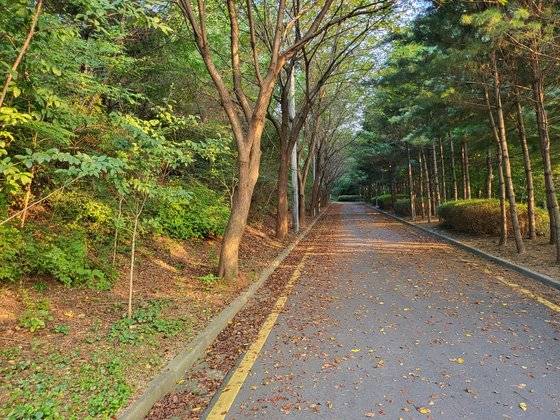 17일 서울 관악구 신림동의 한 공원에서 30대 남성이 여성을 성폭행하고 폭행해 현장에서 체포됐다. 사진은 등산로 입구. 김홍범 기자