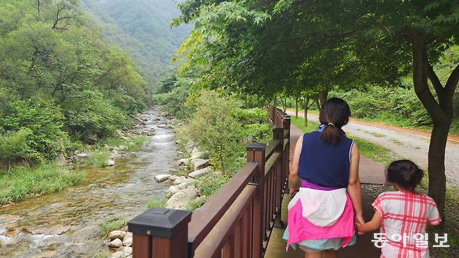 산림청이 선정한 명품 숲길 20선에 호남권에서는 유일하게 선정된 전북 장수군 ‘방화동 생태길’을 찾은 방문객이 시원한 계곡 옆으로 만들어진 데크길을 걷고 있다. 박영민 기자 minpress@donga.com