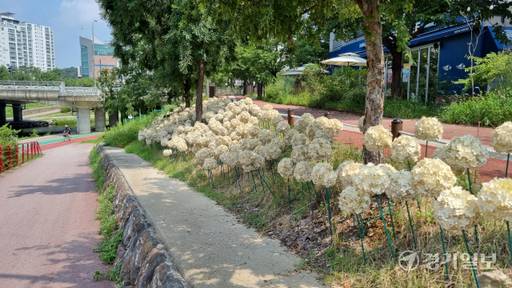 남양주시 별내동 카페거리에 설치된 LED수국 조명시설. 이대현기자