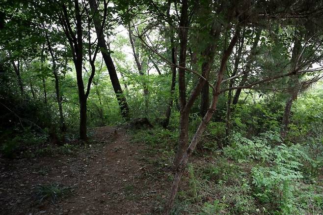 성폭행 사건이 발생한 서울 관악구 신림동의 둘레길 모습. 연합뉴스