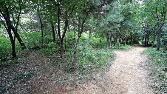 지난 17일 서울 관악구 신림동의 한 산속 둘레길에서 성폭행 사건이 발생했다. 뉴스1