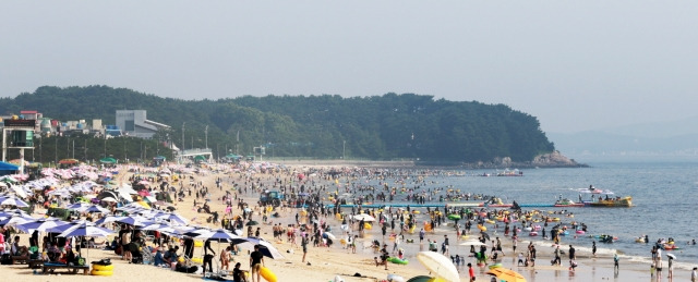 충남 보령시 대천해수욕장 전경. 보령시 제공