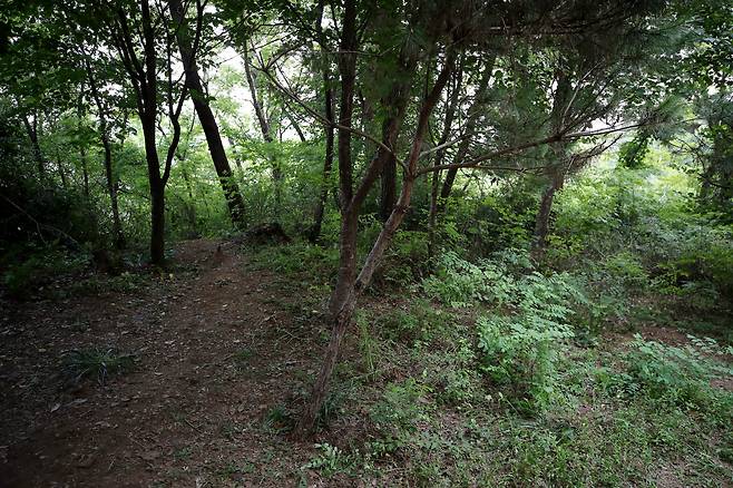 18일 오후 전날 성폭행 사건이 발생한 서울 관악구 신림동의 둘레길 모습. [연합]