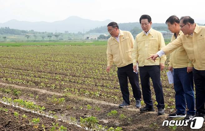 김영록 전라남도지사가 19일 호우로 피해를 입은 영광군 군남면 양덕리 농작물(논콩) 침수현장을 방문해 현황 점검하고 관계자들에게 신속한 피해복구를 당부하고 있다.(전남도 제공) 2023.7.19/뉴스1