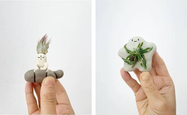 그린포레스트에는 플랜테리어(식물과 인테리어의 합성어)로 활용할 수 있는 작고 귀여운 식물 개체들도 즐비하다. (1)은 공기정화식물  틸란드시아 를 인형 모양 토분에 심어 머리카락처럼 보이게 했다. (2)는 돌과 나무 등에 붙어 자라는  부작난 의 한 종류다. 그린포레스트 제공