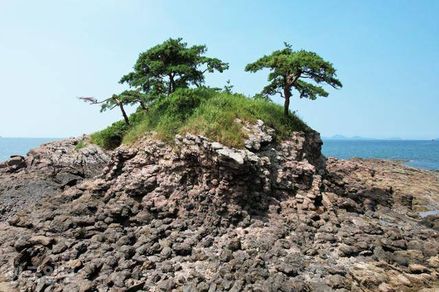 변산마실길 4코스 솔섬에서도 화산의 흔적을 생생하게 볼 수 있다.