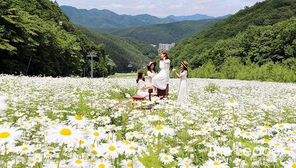 온라인 커뮤니티