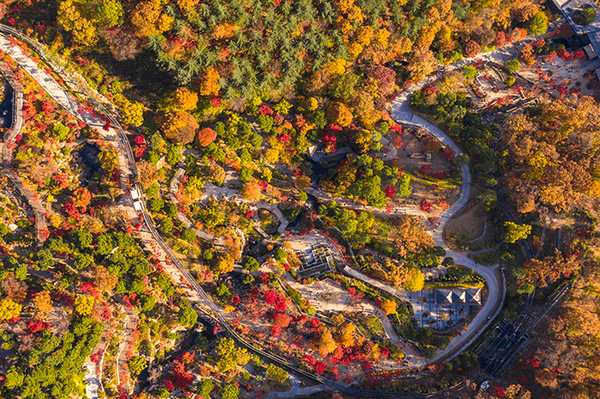 온라인 커뮤니티