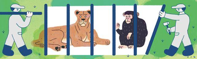 삽화=신동준기자