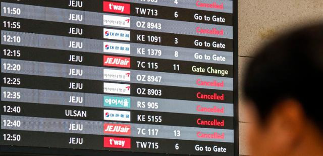 태풍 '카눈'이 북상 중인 지난 10일 오전 서울 강서구 김포국제공항 국내선 터미널에 설치된 전광판에 결항 표시가 나오고 있다. 뉴시스