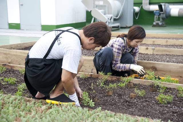 옥상정원을 가꾸는 사람들. 농촌진흥청