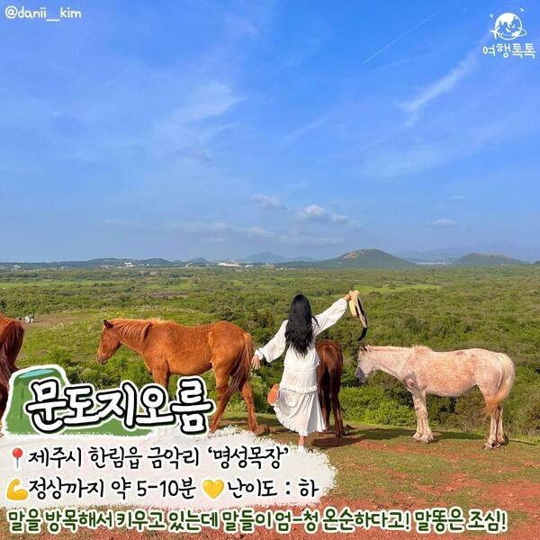 제주 오름 추천 /&nbsp;@danii__kim&nbsp;