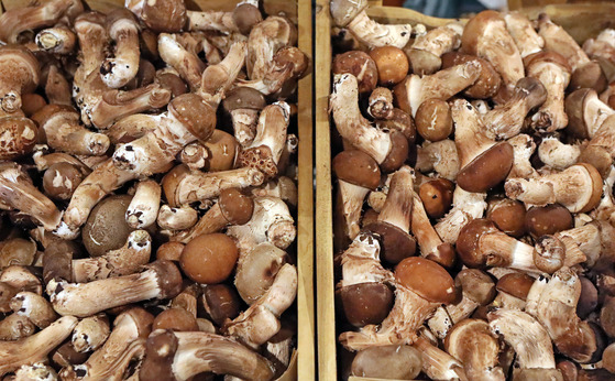 Locally grown mushrooms that are sold at Aug. 7's Marche@ market in Mapo District, western Seoul [PARK SANG-MOON]