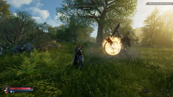 - 자동사냥에 대한 서구권 플레이어의 거부감과 반발이 컸다&nbsp;