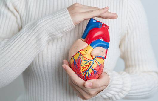 심혈관 건강을 지키기 위해서는 필수 영양소인 '코엔자임 Q10'이 부족하지 않게 관리해야 한다｜출처: 게티이미지뱅크