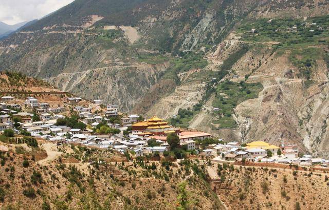 산비탈에 자리잡은 동죽림. ⓒ최종명