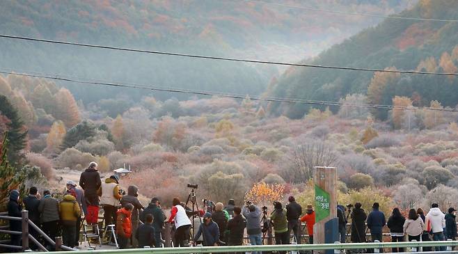 현 정부가 추진하고 있는 ‘지역활력타운’은 인구소멸 위기에 대응하고, 비수도권지역으로 이주의사가 있는 은퇴자 주택문제 해결을 위해 주거단지를 조성하는 다목적 사업이다. 정부는 올해 7월 강원 인제군 등 7곳을 첫 시범사업 대상지로 선정했다. 사진은 지난해 10월 강원 인제군 남면 갑둔리 ‘비밀의 정원’에서 사진작가들이 서리 내린 단풍숲 풍경을 촬영하는 모습이다. 인제군 제공