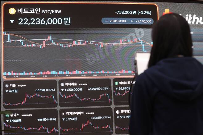 코인거래소 [사진, 연합]