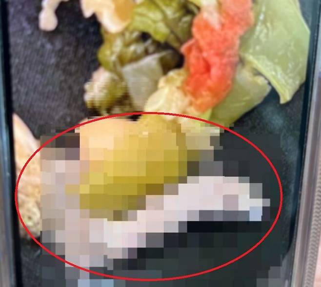미국 유명 이탈리아 레스토랑을 찾은 한 손님이 수프에서 쥐의 다리가 나왔다며 공개한 사진.