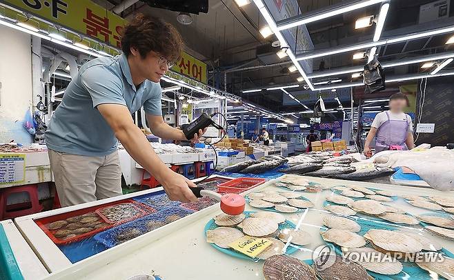 '매일 방사능 검사 합니다' (대구=연합뉴스) 윤관식 기자 = 28일 오전 대구 북구 매천동 수산물시장에서 수산물시장 관계자가 판매 중인 일본산 가리비에 대해 직접 방사능 검사를 하고 있다. 
    매천동 수산물시장 도매인연합회는 직접 방사능 측정기를 구입해 이날부터 매일 간이 방사능 검사를 실시한다. 2023.8.28 psik@yna.co.kr