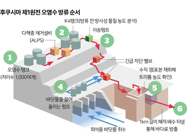 후쿠시마 제1원전 오염수 방류 순서