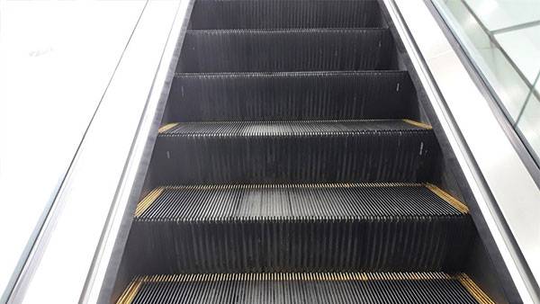 [자료사진 제공 : 연합뉴스]