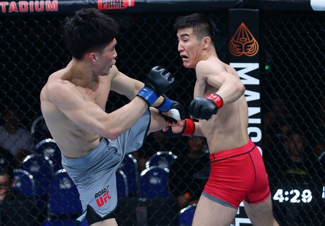 [사진] UFC 제공.