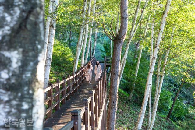 봉평면 이효석문학의숲에는 산책로를 따라 소설 '메밀꽃 필 무렵'의 주요 장소와 장면을 재현해 놓았다.