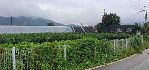 인천 강화군이 최근 하청면의 한 농지에 카페로 쓰기 위한 불법 건축물을 적발해 원상복구 처분을 했다. 지우현 기자