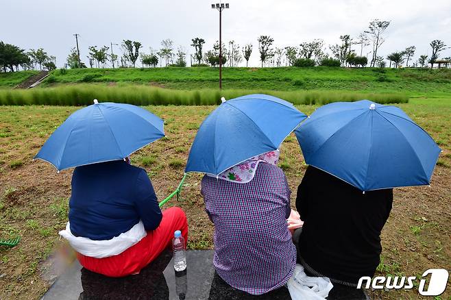 30일 오전 경북 포항시 남구 연일읍 형산강에서 우산 모자를 쓴 공공 근로자들이 비가 그치기를 가디리고 있다.2023.8.30/뉴스1 ⓒ News1 최창호 기자