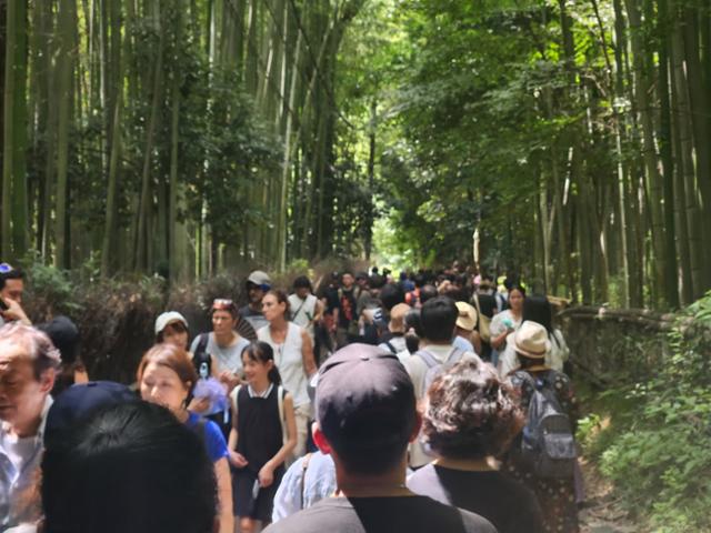 18일 오후 일본 교토의 관광 명소인 아라시야마의 대나무숲이 관광객들로 가득 차 있다. 교토=박지영 기자