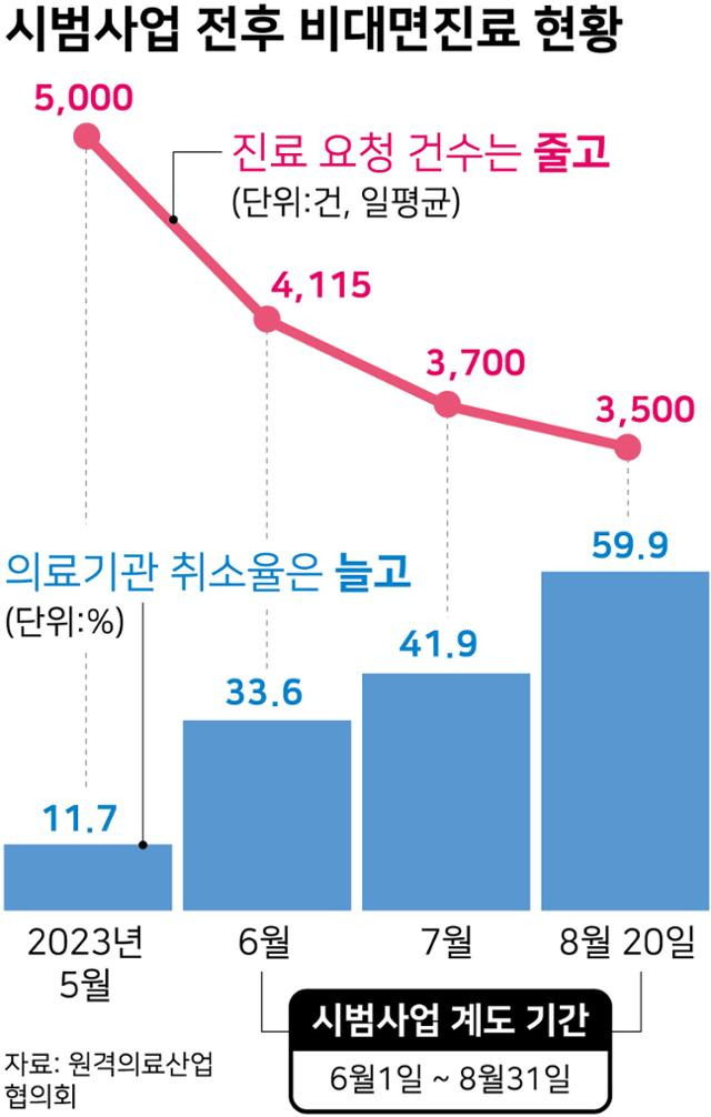 시범사업 전후 비대면 진료 현황 그래픽=강준구 기자