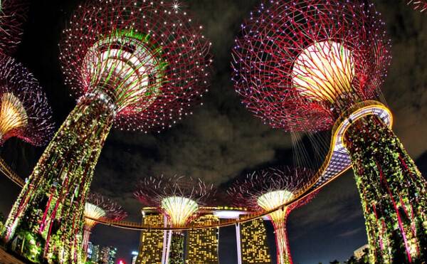 온라인 커뮤니티&nbsp;