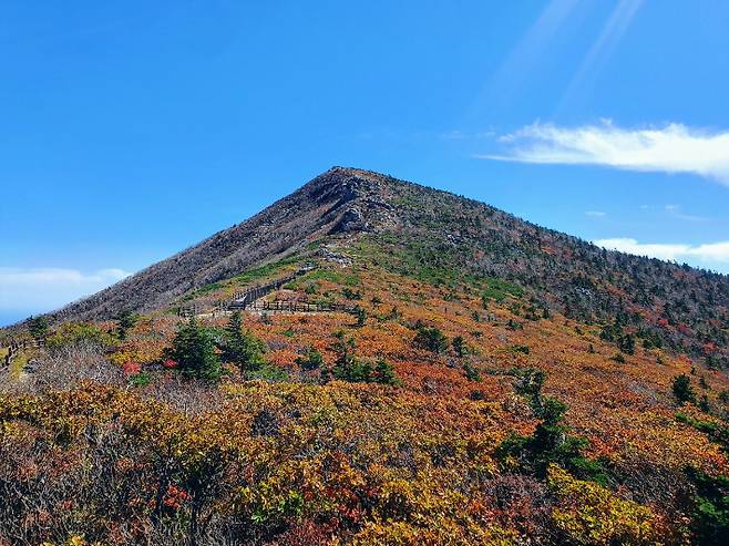 설악산에 단풍이 시작된 모습. 강원지방기상청 제공