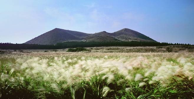 따라비오름(사진, 비짓제주)