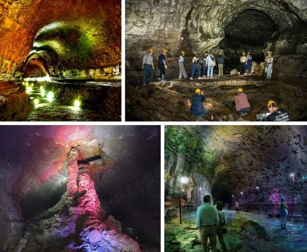 온라인 커뮤니티