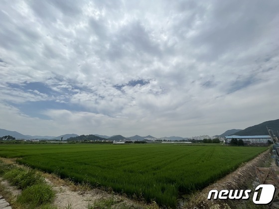 김해풍유물류단지 부지 전경. /뉴스1 ⓒ News1 송보현 기자