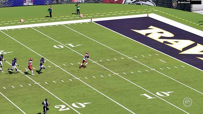 매든 NFL 24