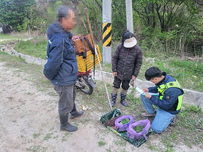 불법 임산물 채취 단속 장면 자료 사진. 북부지방산림청 민북지역국유림관리소 제공