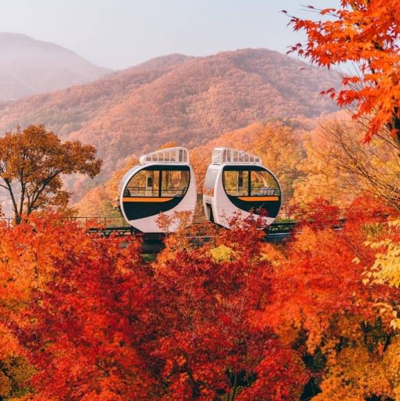 온라인 커뮤니티