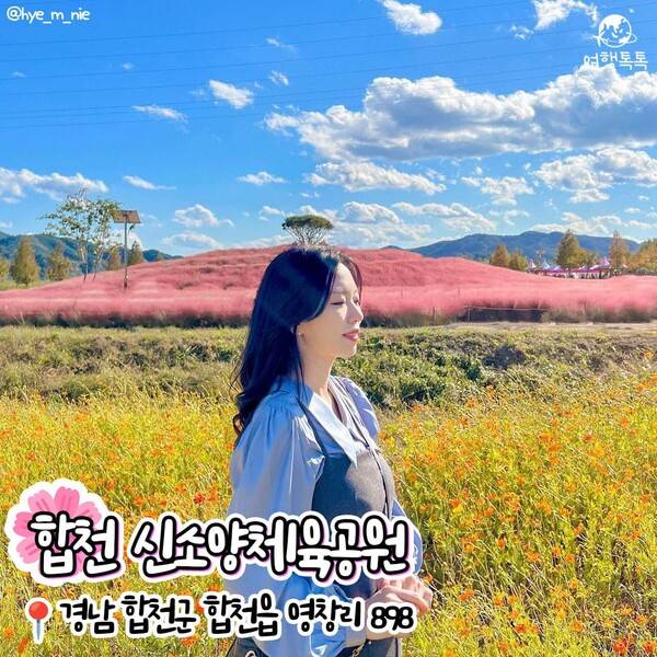 코스모스 명소 추천 / @hye_m_nie