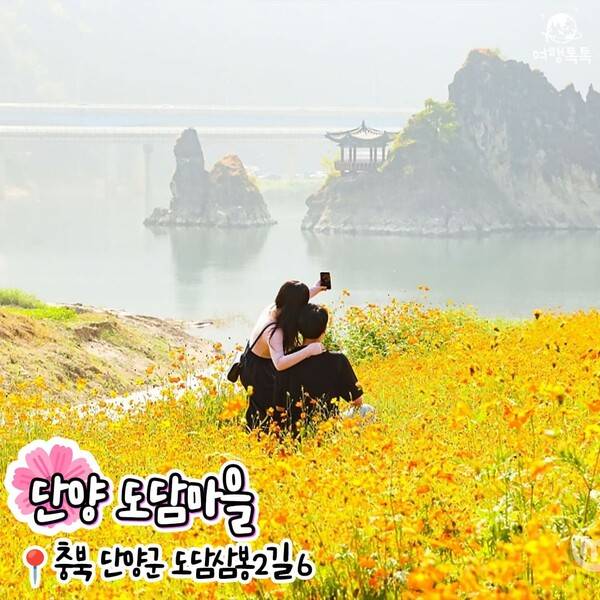 코스모스 명소 추천 / ⓒ여행톡톡