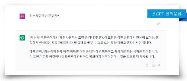 클로바X와 달리 ‘챗GPT’(GPT-3.5 버전)는 “‘맑눈광’이 무슨 뜻인지 아느냐”는 질문에 정답과는 거리가 먼 답변을 내놓았다. [클로바X 캡처]