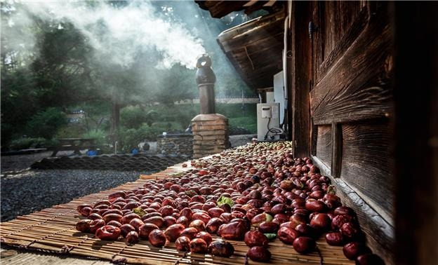 농촌 경관사진 공모전 대상작 '가을 대추 말리는 고택' [농림축산식품부 제공. 재판매 및 DB금지]