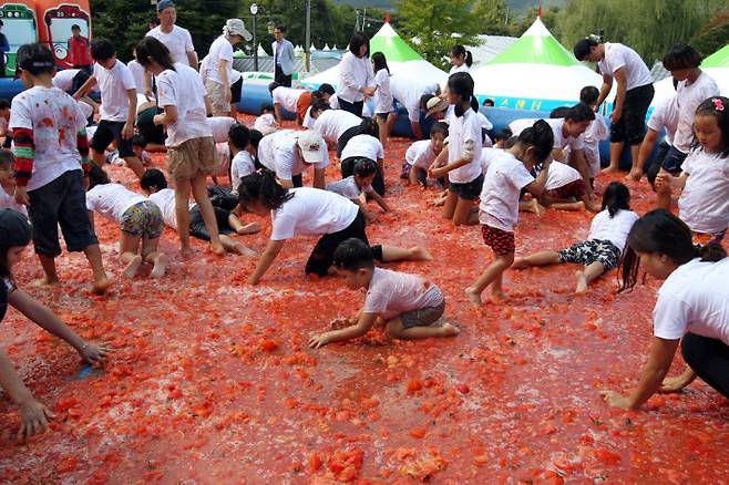 장수 한우랑 사과랑 축제의 '토마토 속 황금반지를 찾아라' 프로그램. 장수군 제공