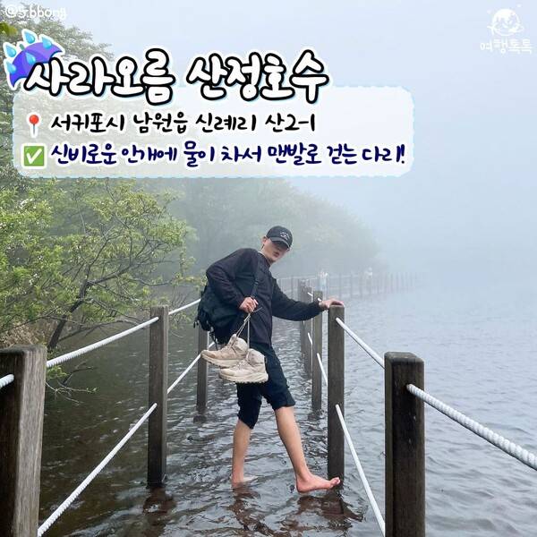 제주 비올때 가볼만한 곳 / @5.bbong