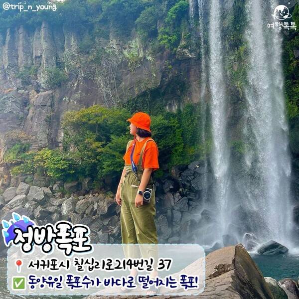 제주 비올때 가볼만한 곳 /&nbsp;@trip_n_young&nbsp;