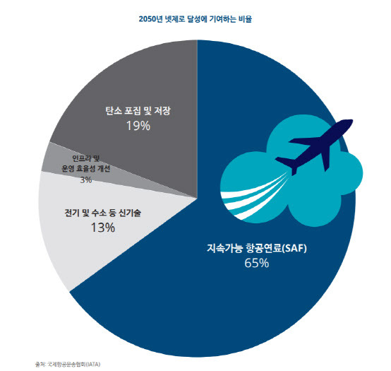 (출처=딜로이트.)